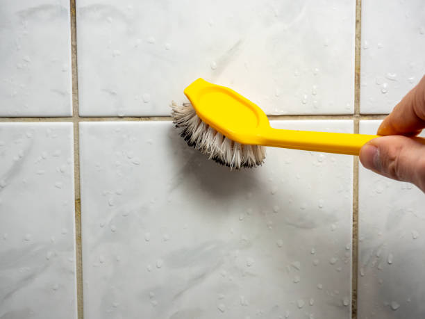 Best Residential Mold Remediation in Lakeland South, WA