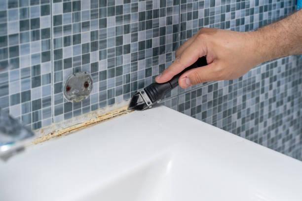 Best Post-Flood Mold Remediation in Lakeland South, WA